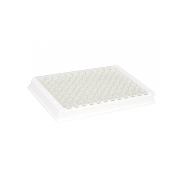 96-well ELISA Plate